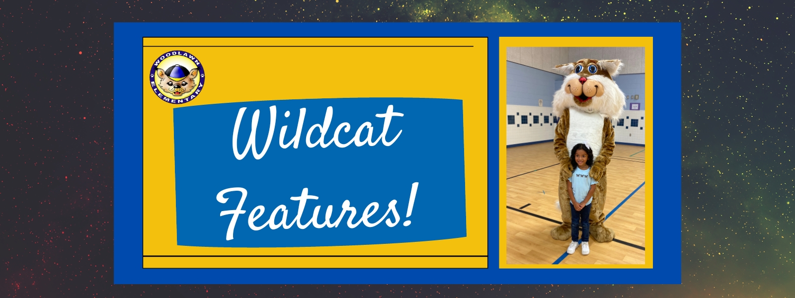 Wildcat Features