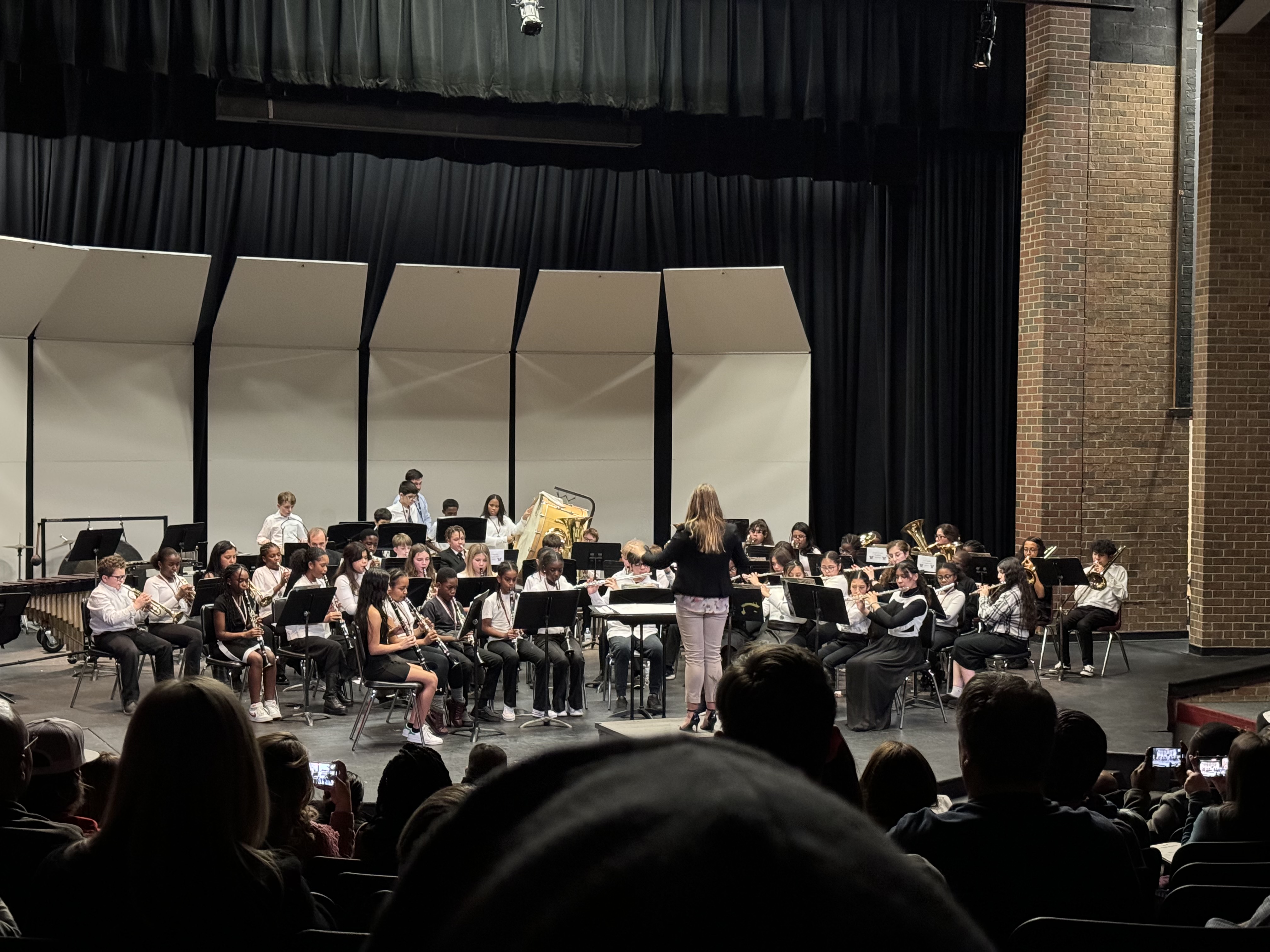 Wildcats Participate in Mount Vernon Area Honor Band